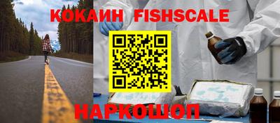 гидра Будённовск