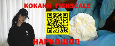 гидра Будённовск