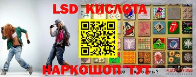 гидра Будённовск