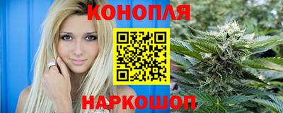 гидра Будённовск