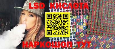 гидра Будённовск