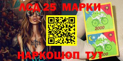 гидра Будённовск