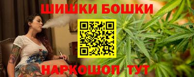 гидра Будённовск