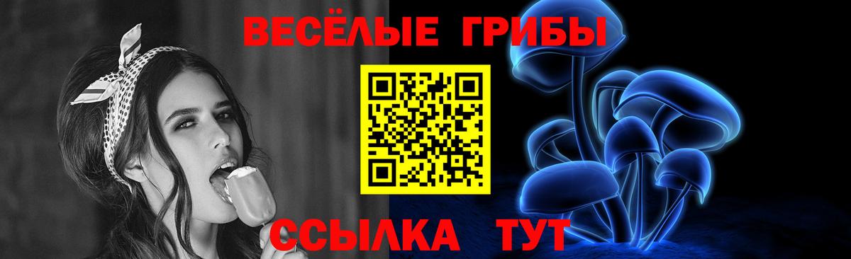 Псилоцибиновые грибы мицелий Радужный